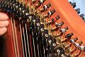 20110702-1200 AltRH_Magic Harps_D-F1042-IMGA8324-5